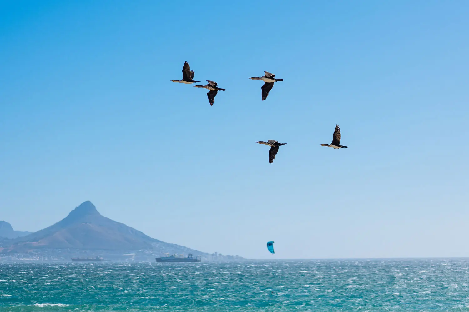 Мировой рекорд WOO от Хьюго: 40-метровый прыжок 2 Hugo Wigglesworth Woo 40.0 birds sea