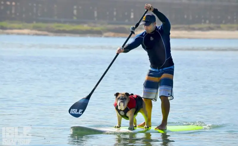 Как выбрать SUP доску 11 doug dozer paddle 21