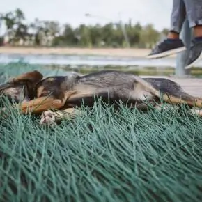 Almaty wake camp 2018 41 IMG 8606 result