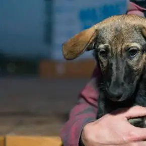 Almaty wake camp 2018 64 фото 110 result